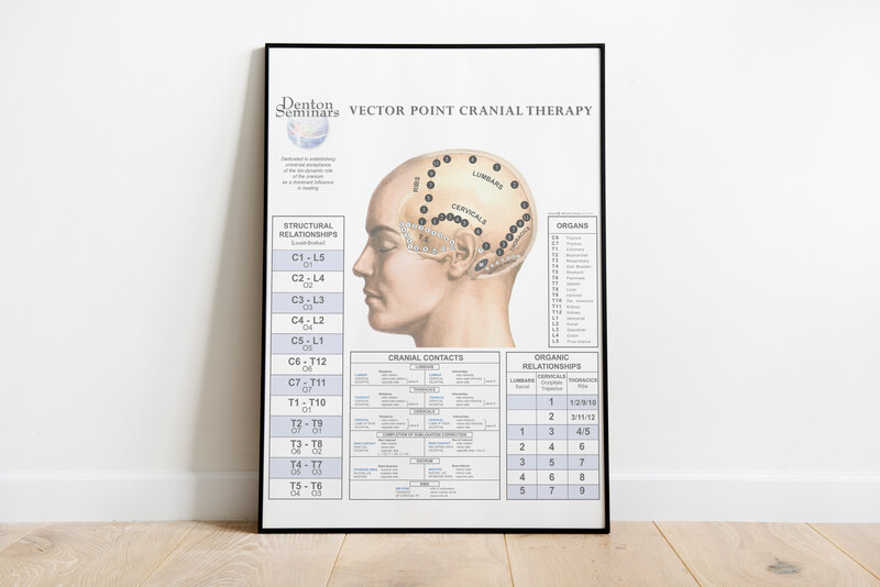 Vector Point Cranial Therapy Poster