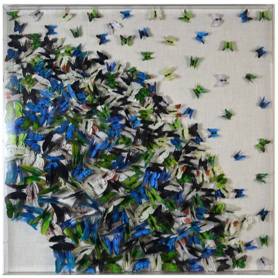 PAPILLION III FRAMED ART | Paper Butterfly Art | 3 inch Acrylic Shadowbox-GREEN/BLUE