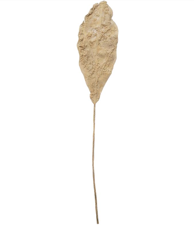 40&quot;H Faux Leaf, Plaster Finish, Sand Color