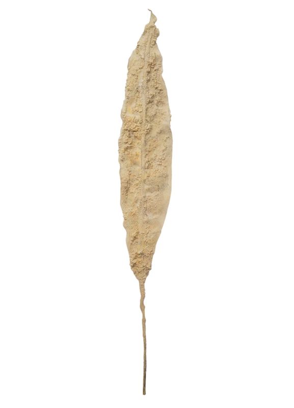 49&quot;H Faux Leaf, Plaster Finish, Sand Color