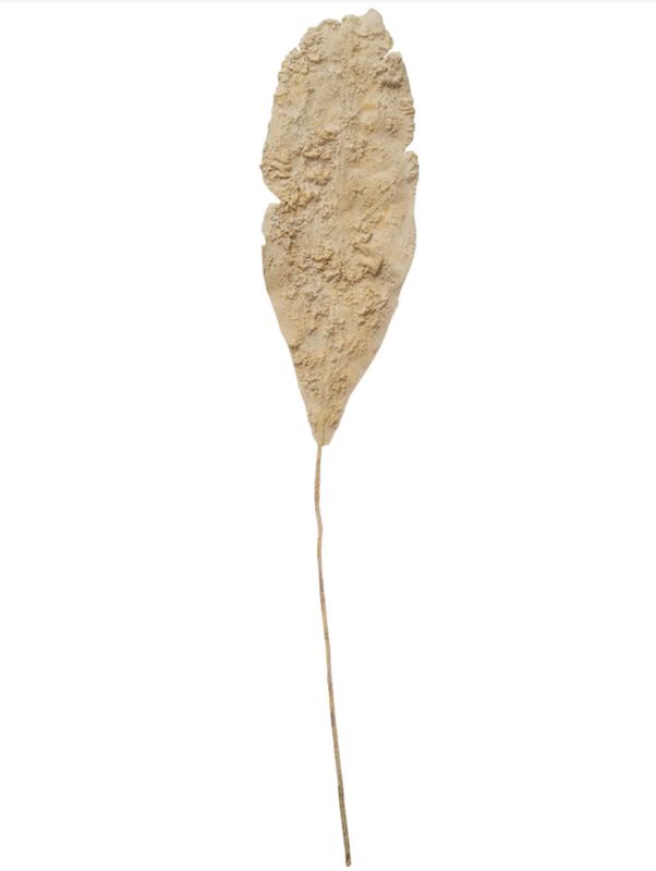 59&quot;H Faux Leaf, Plaster Finish, Sand