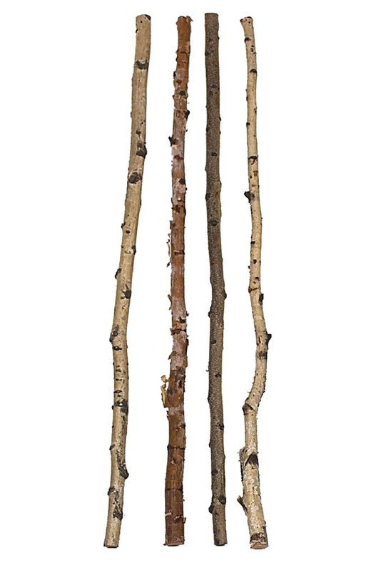 Birch Branch Natural
