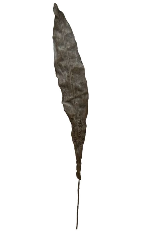 Dark Olive Faux Leaf, Plaster Finish