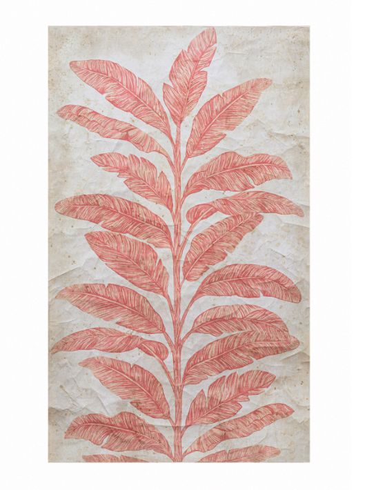 Decorative Paper with Pink Banana Tree Print