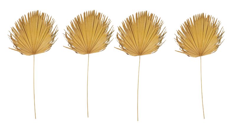 Dried Palm Leaf, Citron Color (Each One Will Vary)