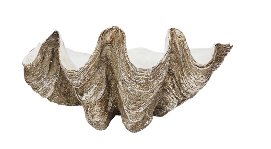 Decorative Resin Clam Shell Wall Container