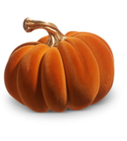 Orange Velvet Magnolia Pumpkin Small