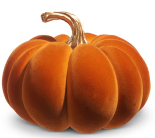 Orange Velvet Magnolia Pumpkin Large