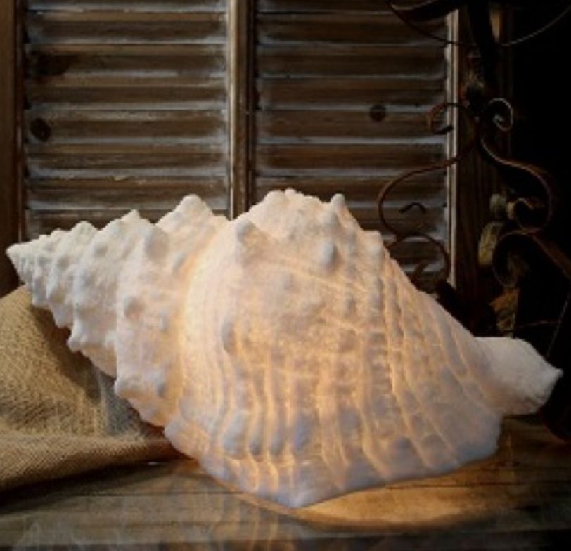 Small Conch Shell Lamp