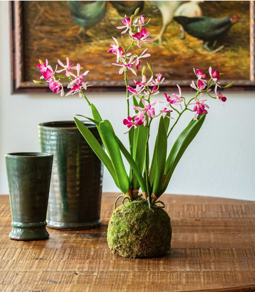 Mini Vanda Orchid Moss Ball Lavender