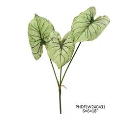 Caladium Light Green Stem
