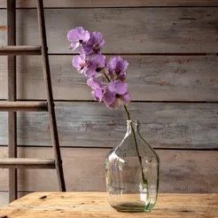 Lavender Vanda Orchid Stem