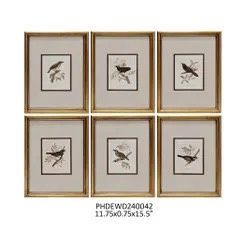 Bird Watcher Framed Collection