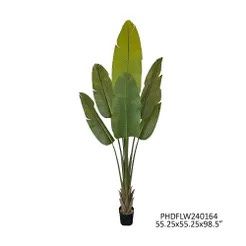 Potted Giant Sterlitzia 98&quot;