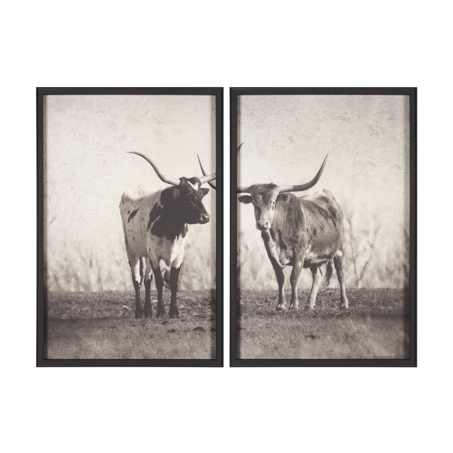 Texas Longhorns S/2