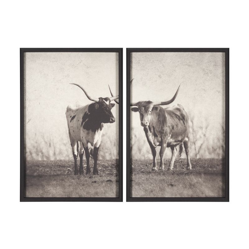 Texas Longhorns S/2