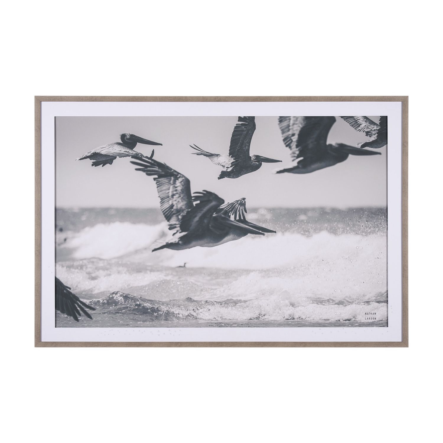 Pelican Beach Art