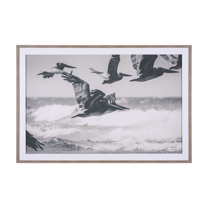 Pelican Beach Art