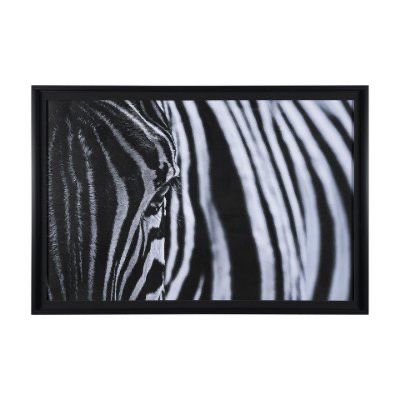 The Look of Nature Art