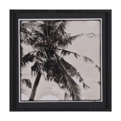Palm Tree Sephia I