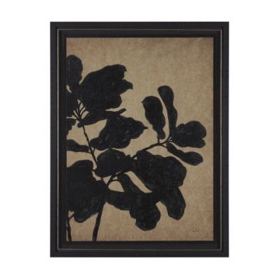 Ficus Silhouette I