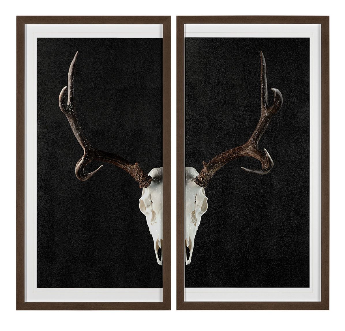 Deer Skull Art S/2