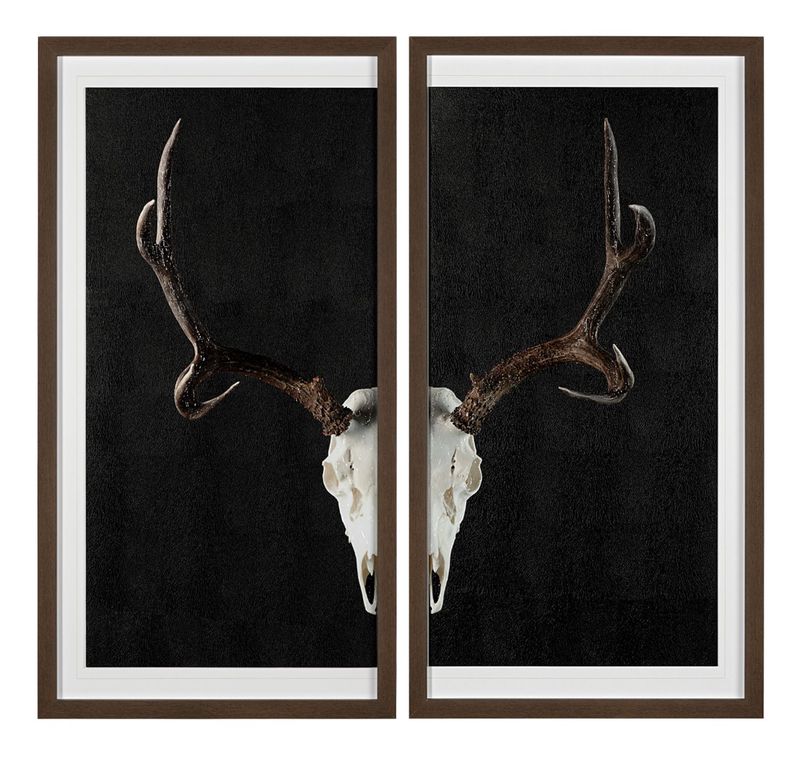 Deer Skull Art S/2