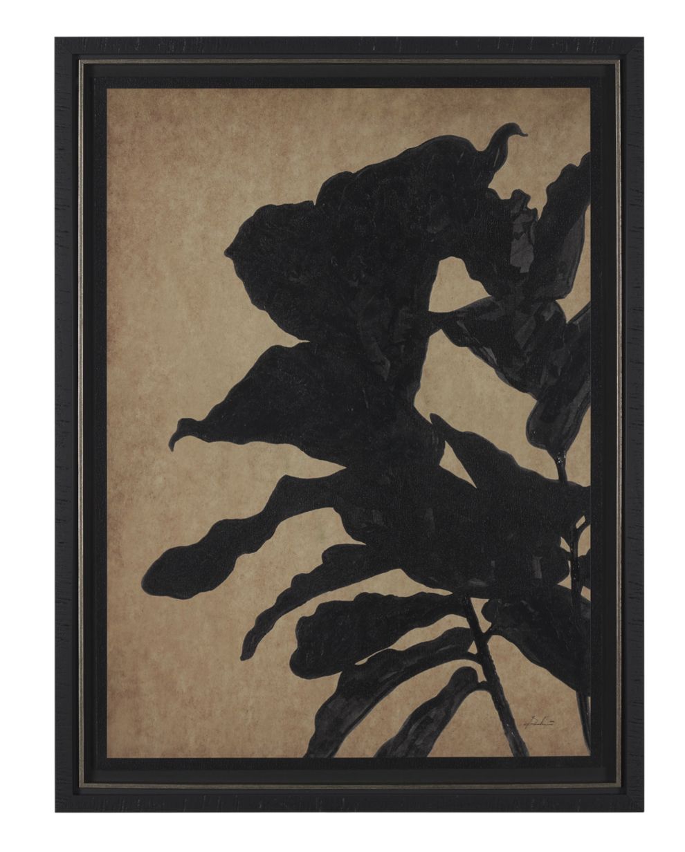 Ficus Silhouette II