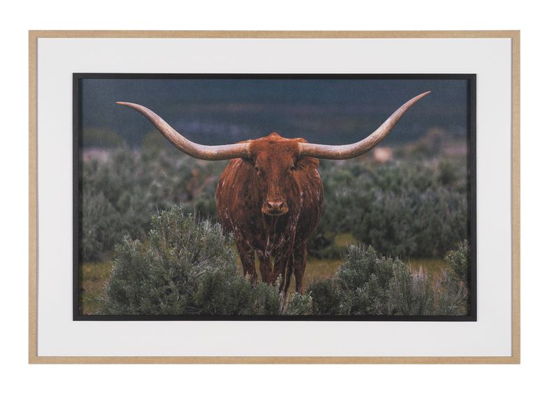 Longhorn Art 5