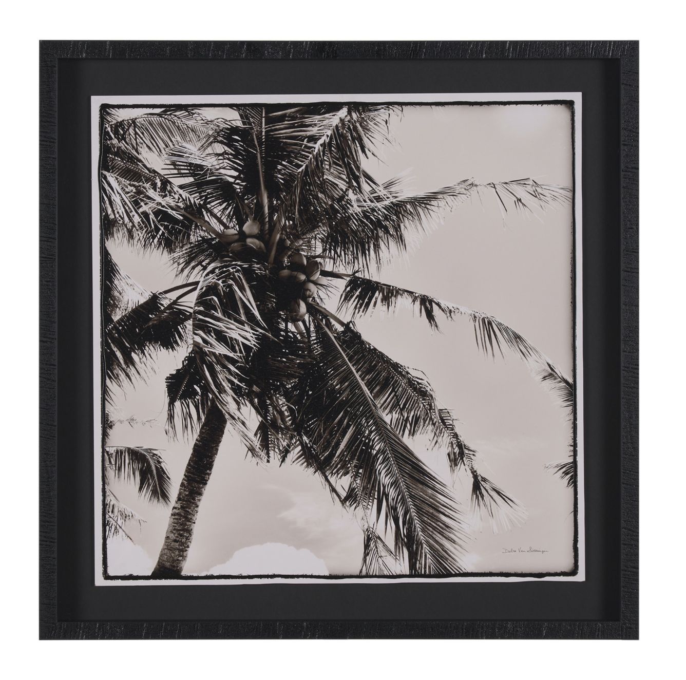 Palm Tree Sephia II
