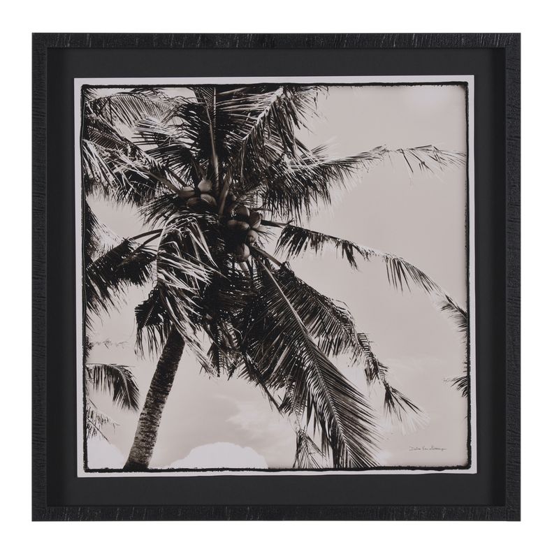 Palm Tree Sephia II