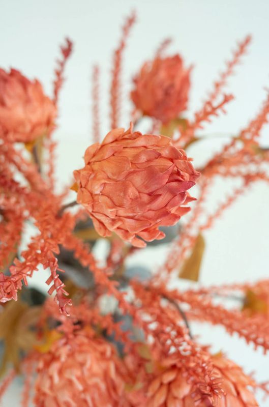 Botanica Stem Coral/Peach