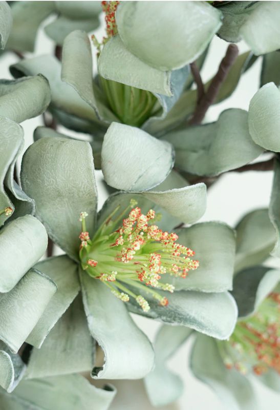 Green Spring Stem
