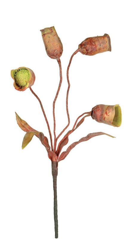 Summer Botanica Stem