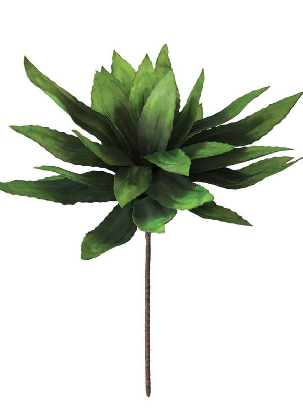Green Spray