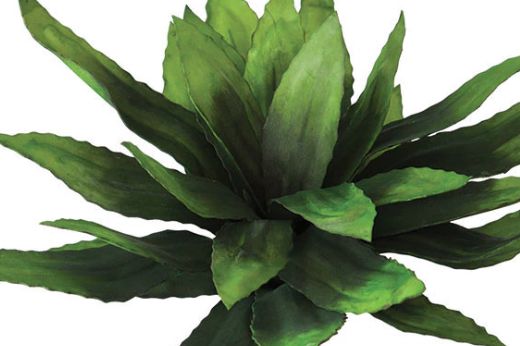 Green Spray