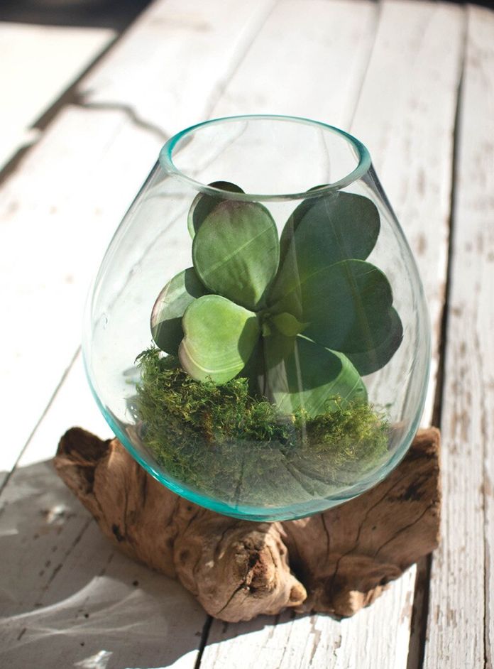 Large Blown Glass Bowl on Driftwood Base