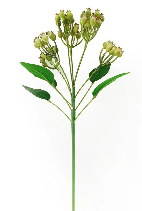Green Rosehip Stem