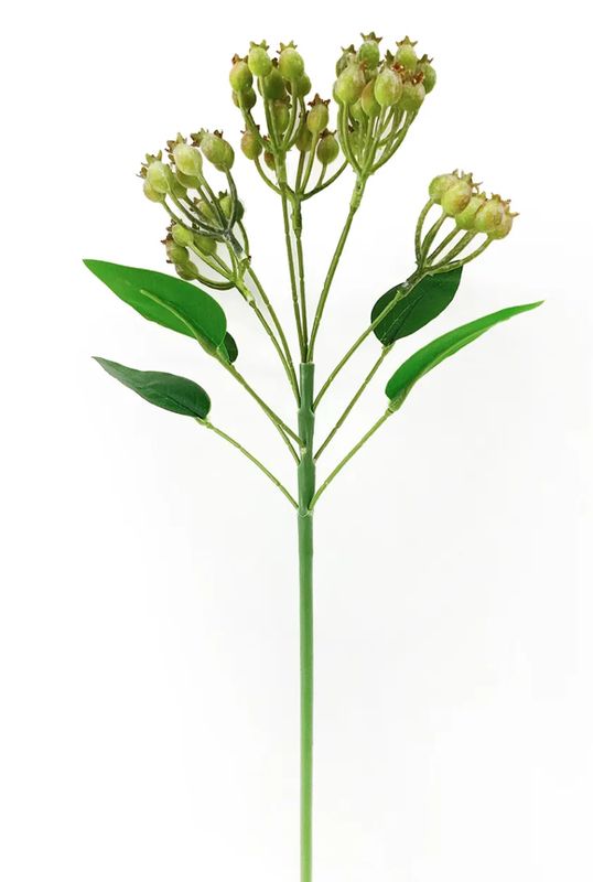 Green Rosehip Stem