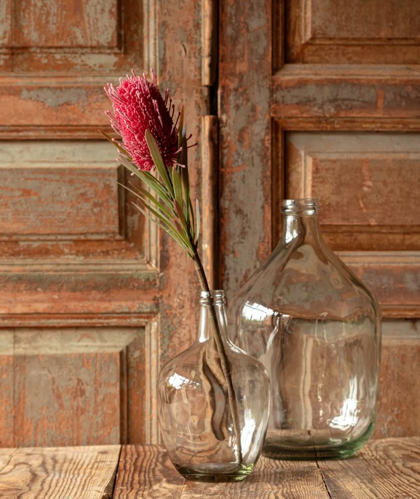 Rust Banksia Protea Stem