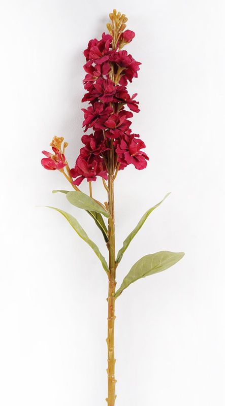 Stock Berry Stem