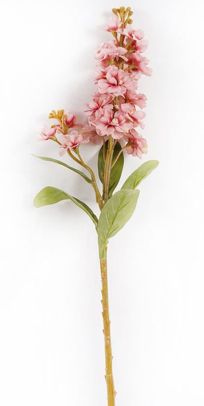Stock Dark Pink Stem