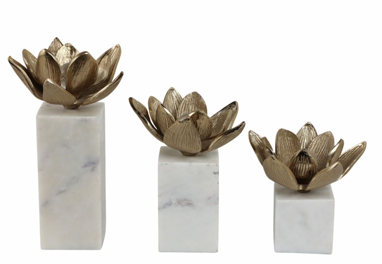 Darby Champagne Flowers S/3
