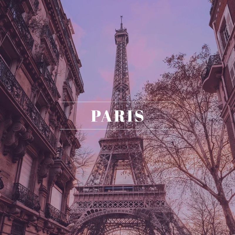 3 Wick Elite Candle Paris