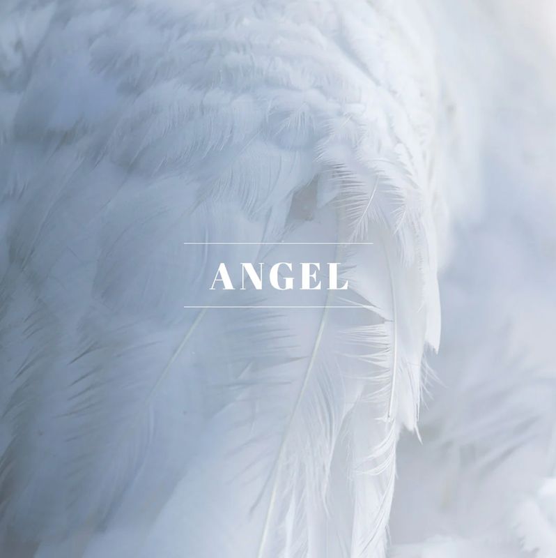 Reed Diffuser Angel