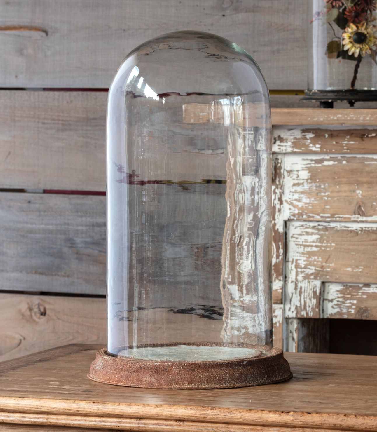 Estate Glass Display Dome W/ Weathered Base