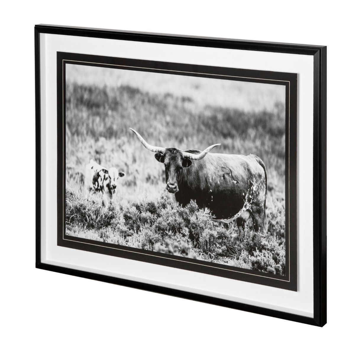 B&amp;W Longhorn II by Tyler Stockton a Framed