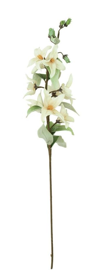 Texas Lily 39&quot;