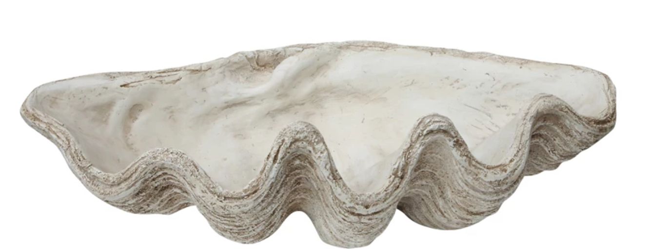 Magnesia Seashell Decor