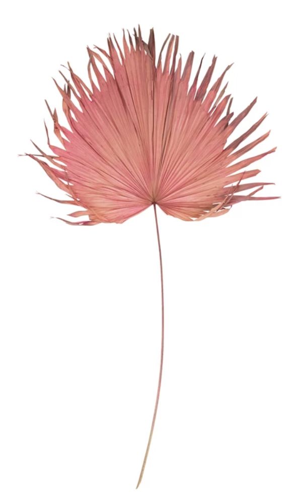 Raspberry Dried Palm Leaf